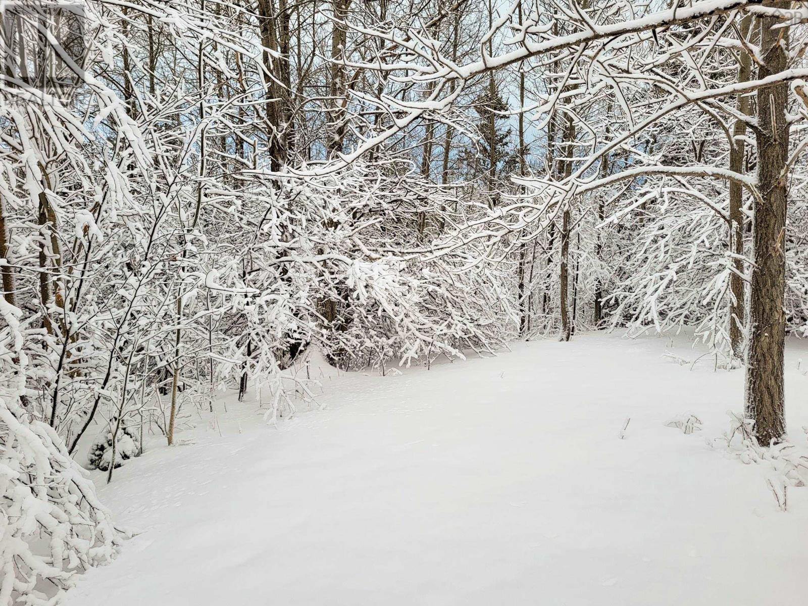 Property 5 of 8 of 2999 Shore Road