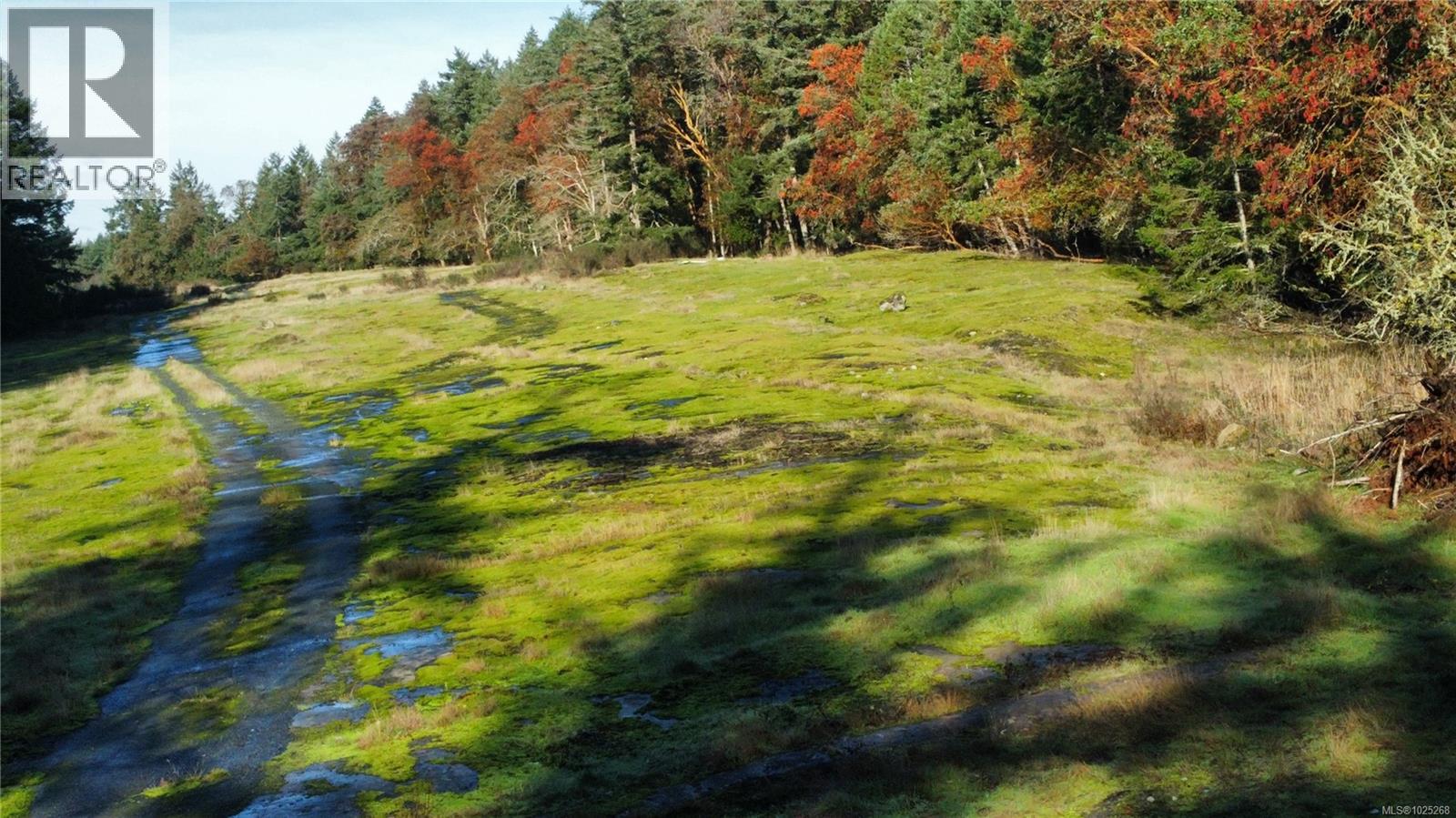 3850 YELLOW POINT RD - 20