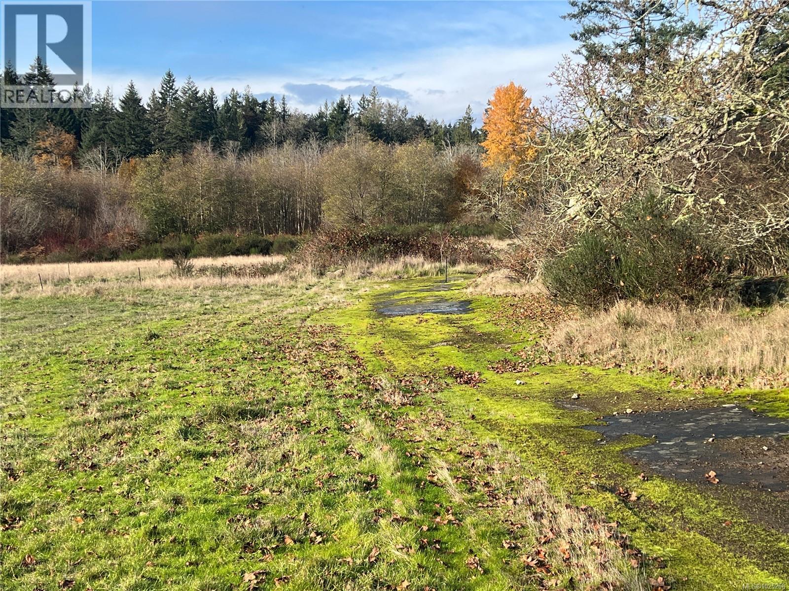 3850 YELLOW POINT RD - 35