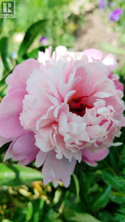 Single Family House Bungalow for Sale in   Avenue SW Kingsland Calgary 