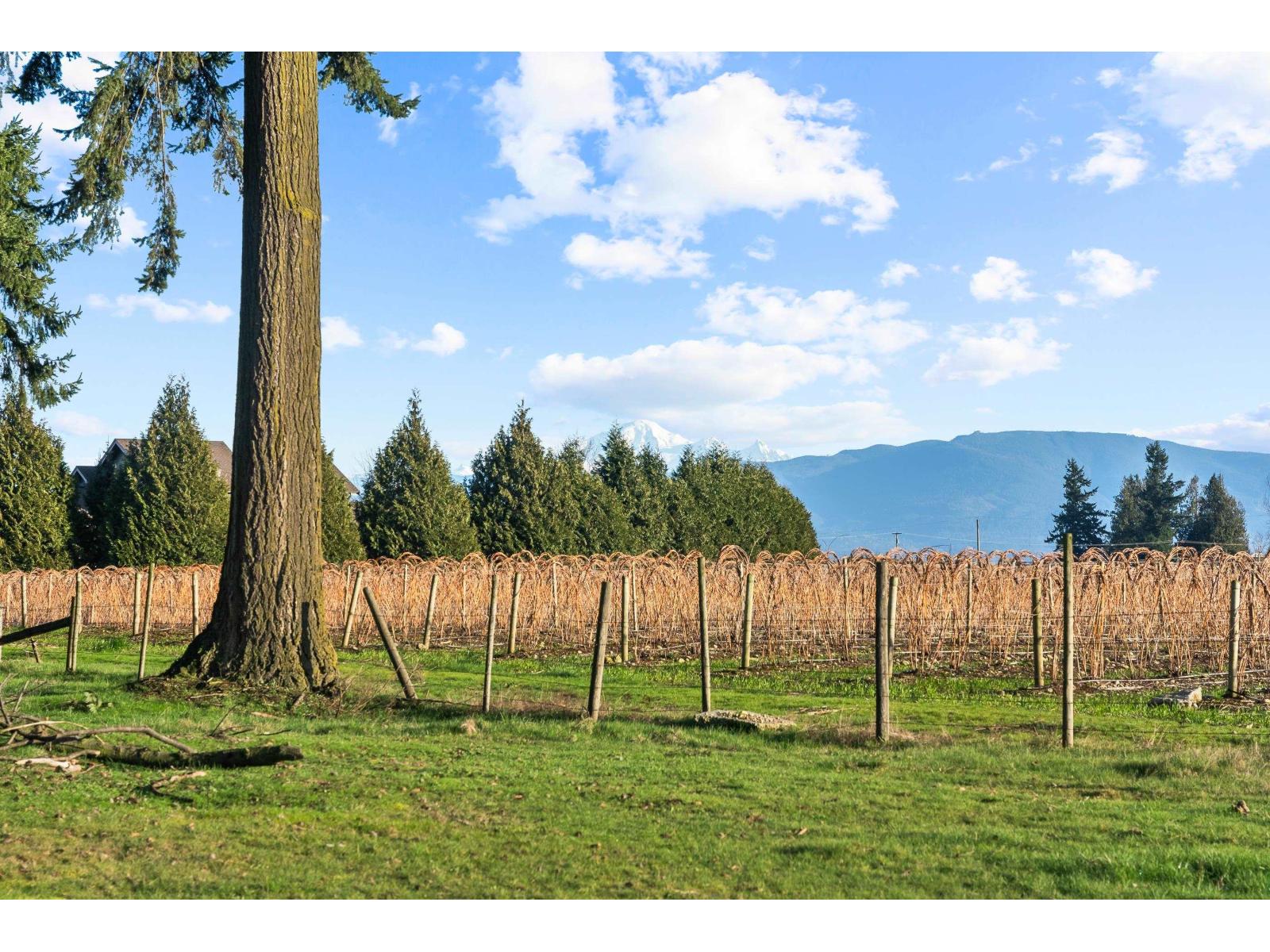 29380 HUNTINGDON ROAD, Abbotsford