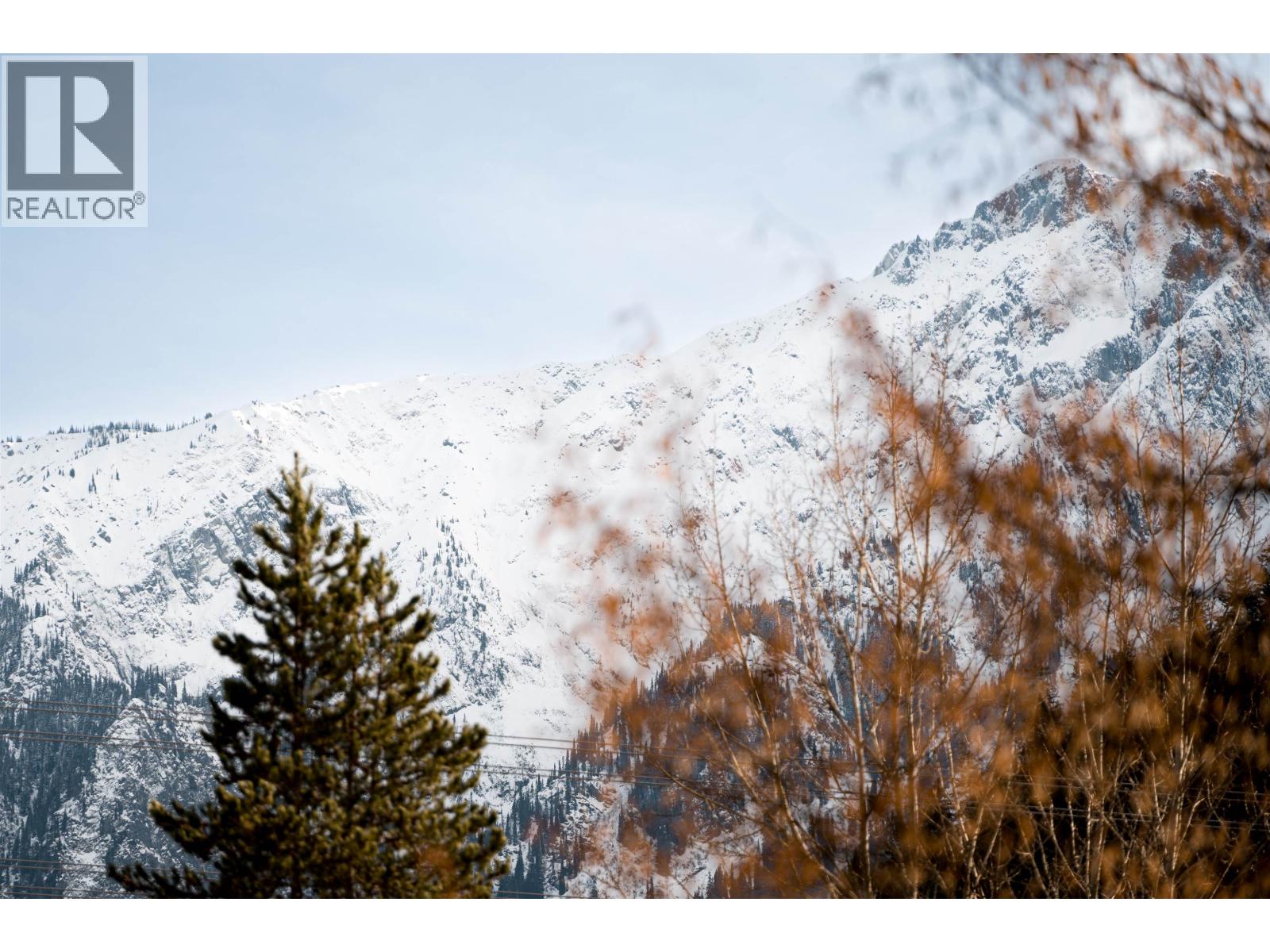 101 1490 HIGHWAY 99, Pemberton