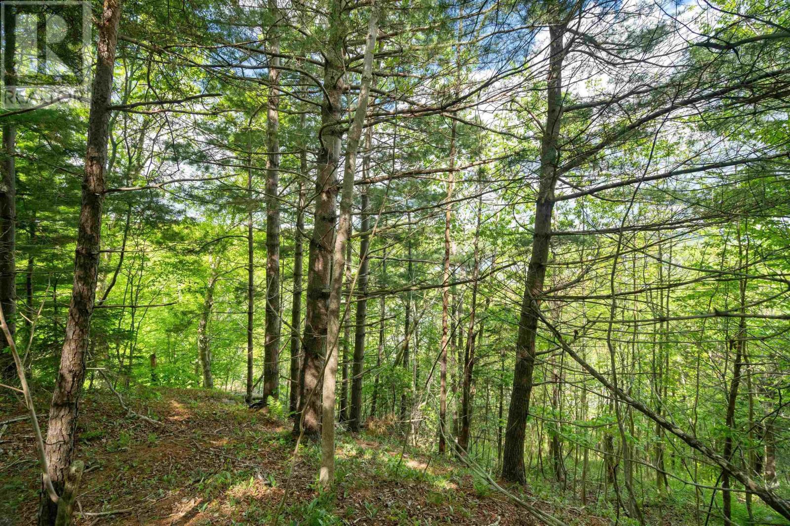 Property photo of 27 Copperhead Road