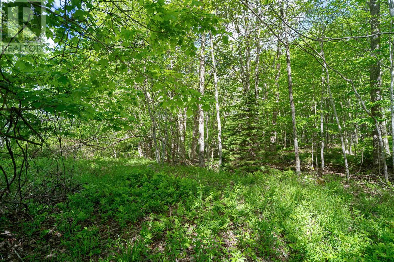 Property 2 of 14 of 27 Copperhead Road