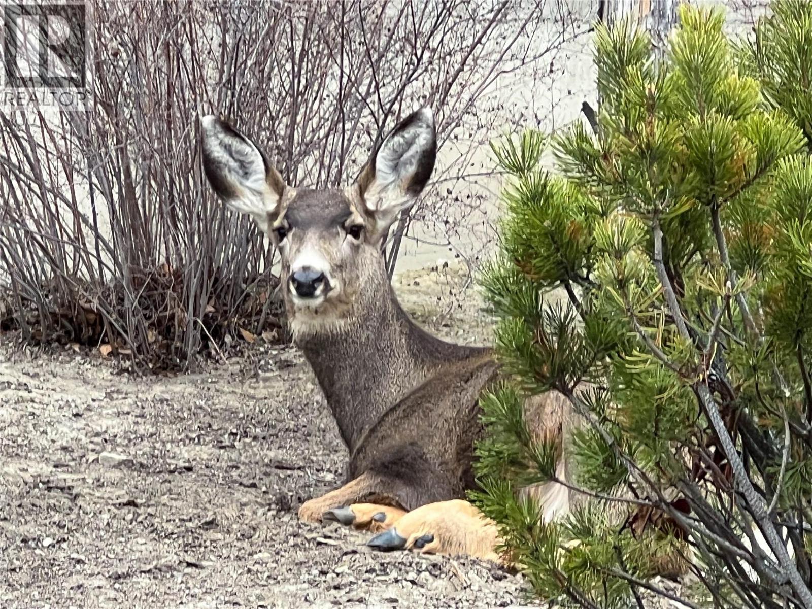 1637 GOLF RIDGE Way, Kamloops