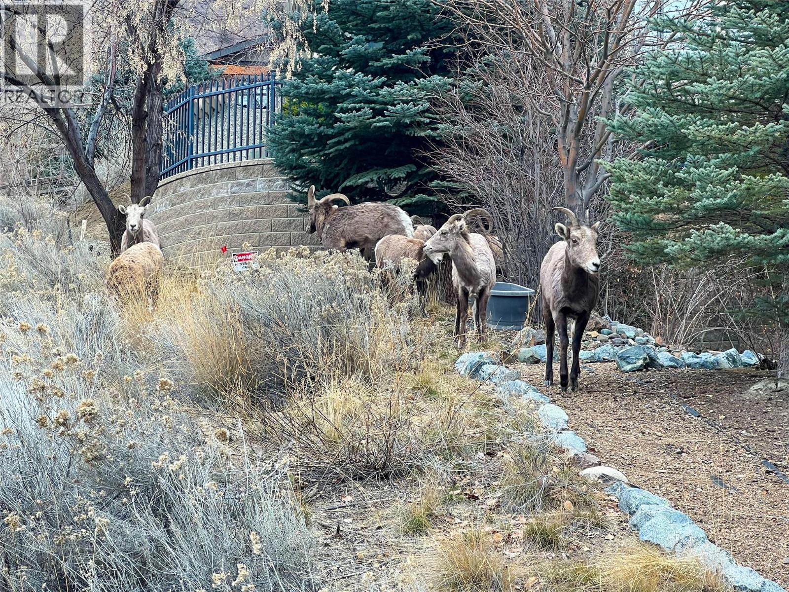 1637 GOLF RIDGE Way, Kamloops