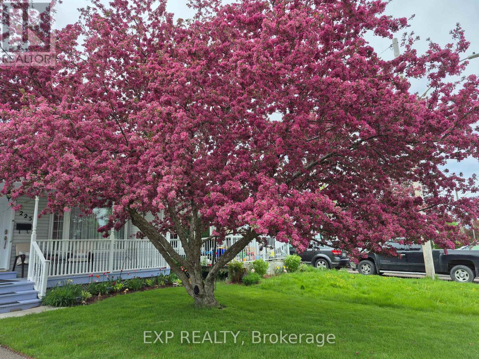 225 AIRTH BOULEVARD - Photo 5 of 24, Renfrew, Ontario