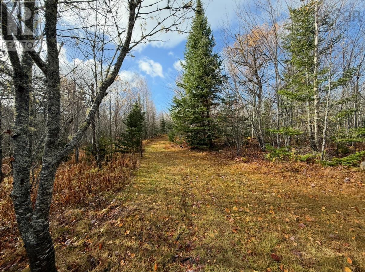 Property 35 of 43 of Rear Boisdale