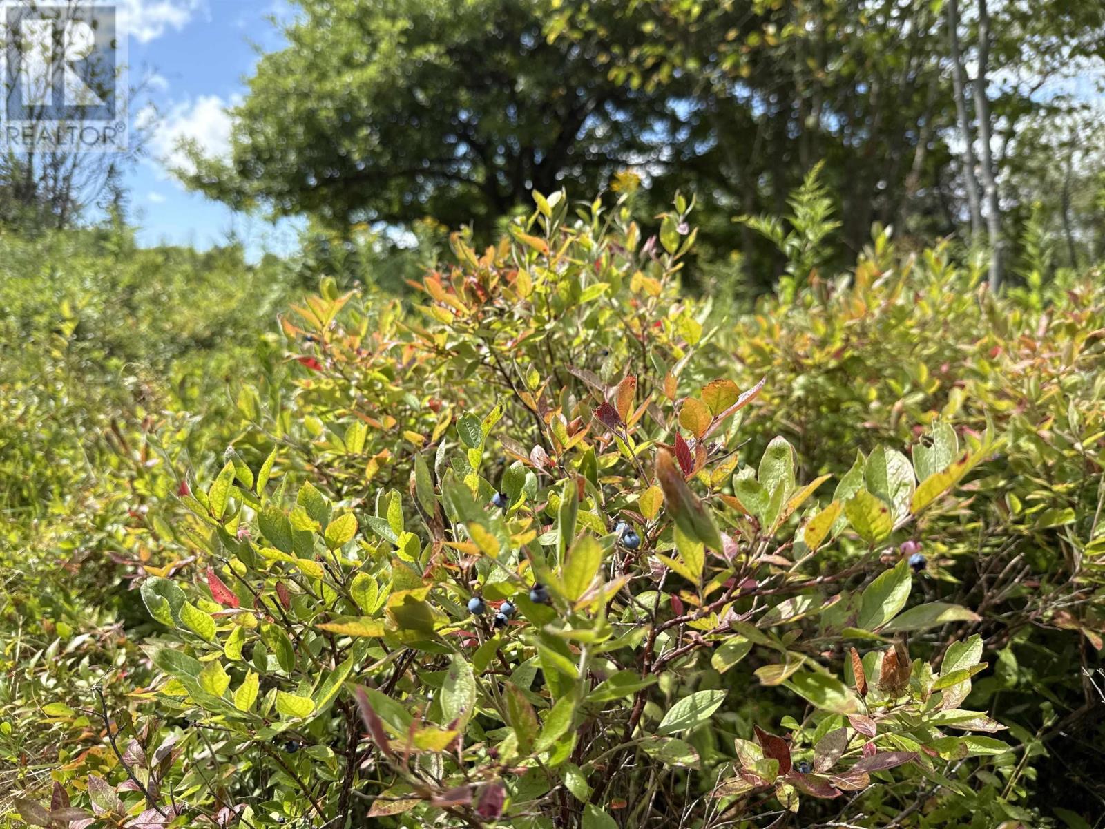 Property 7 of 43 of Rear Boisdale