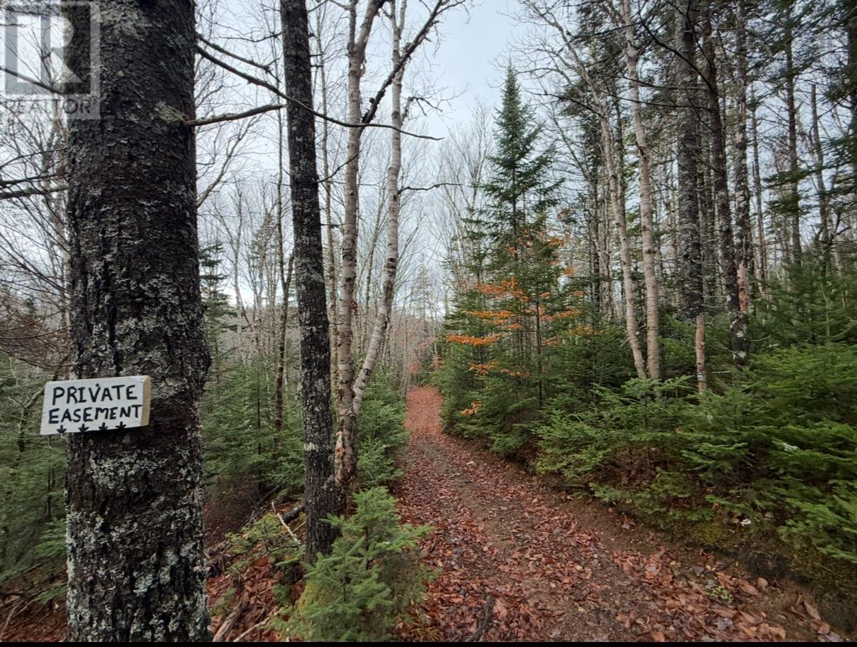 Property 4 of 43 of Rear Boisdale