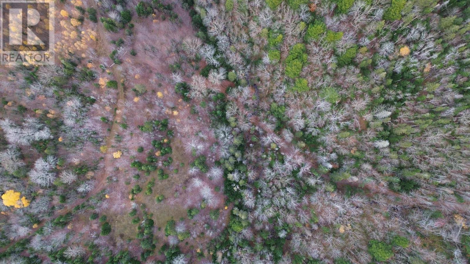 Property 40 of 43 of Rear Boisdale