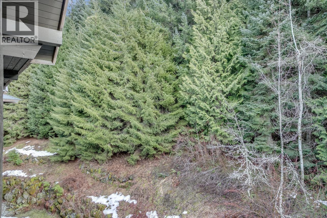 616 4899 PAINTED CLIFF ROAD, Whistler