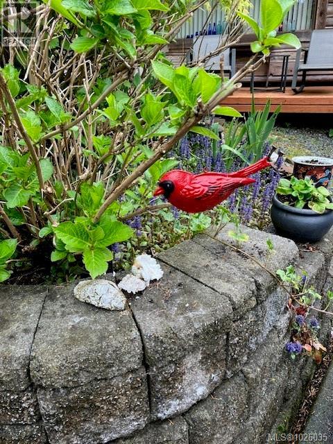 1870 Munsie Rd, Shawnigan Lake