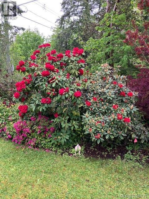 1870 Munsie Rd, Shawnigan Lake