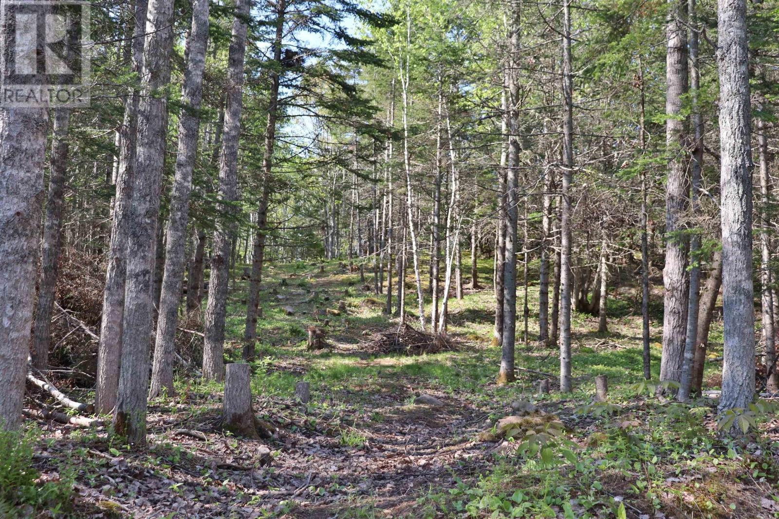 Property 8 of 15 of Lot Forest Glade Road