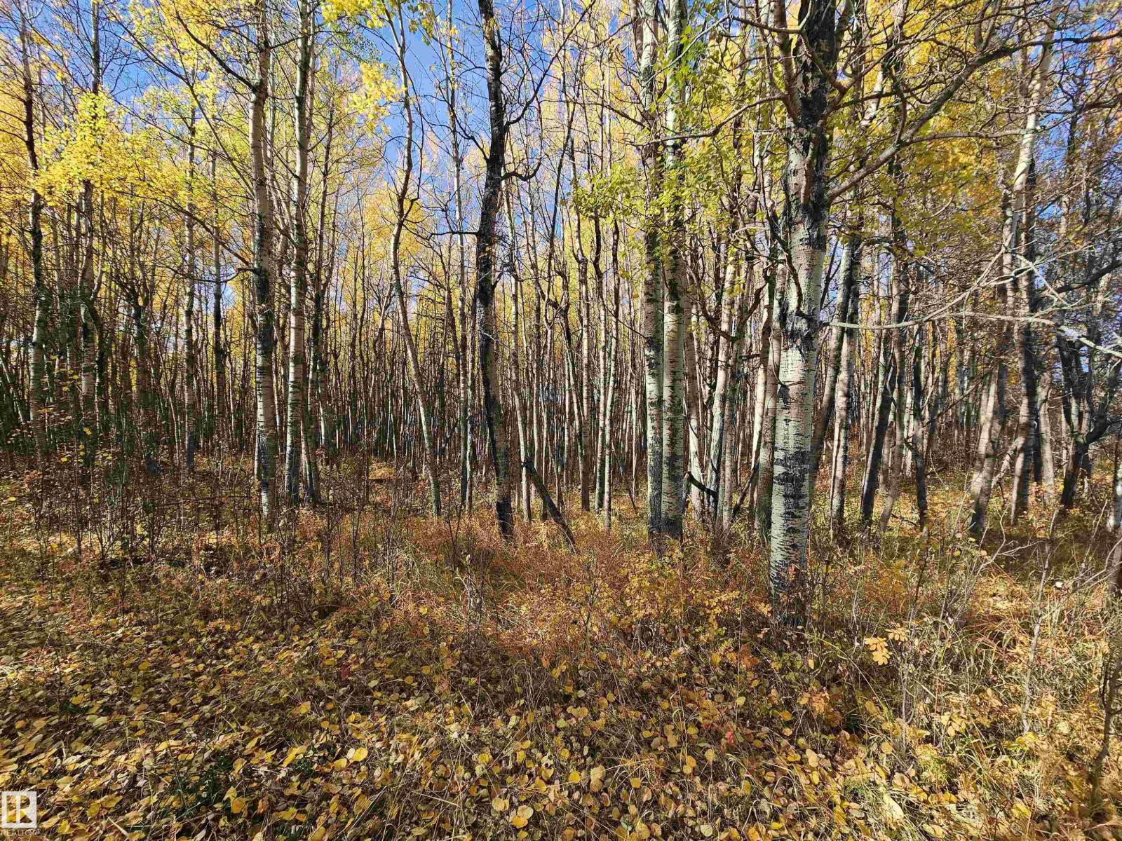 51022 RGE ROAD 263, Rural Parkland County