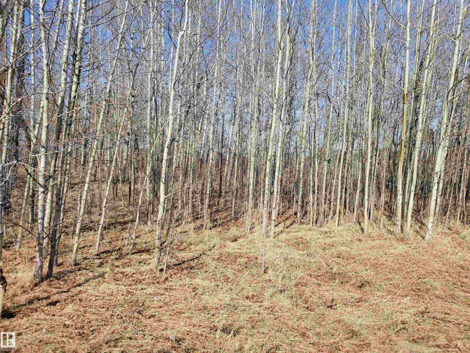 51022 RGE ROAD 263, Rural Parkland County