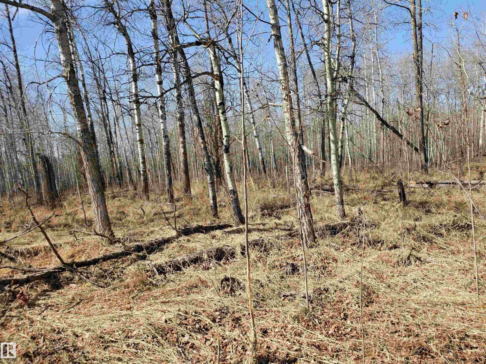 51022 RGE ROAD 263, Rural Parkland County