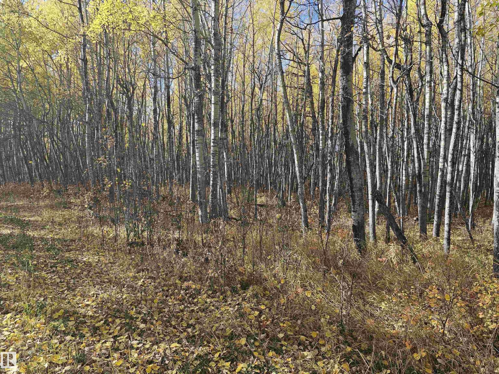 51022 RGE ROAD 263, Rural Parkland County