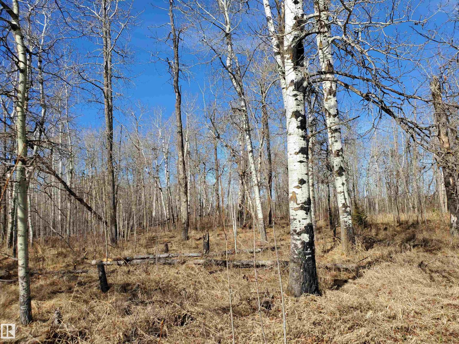 51022 RGE ROAD 263, Rural Parkland County