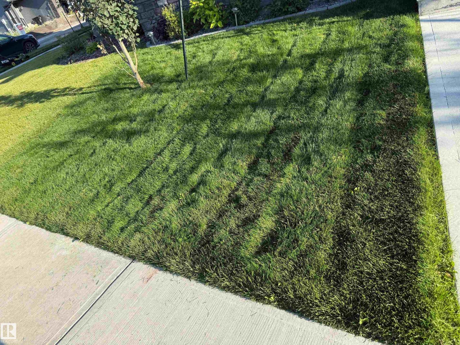 39 FENWYCK BV, Spruce Grove