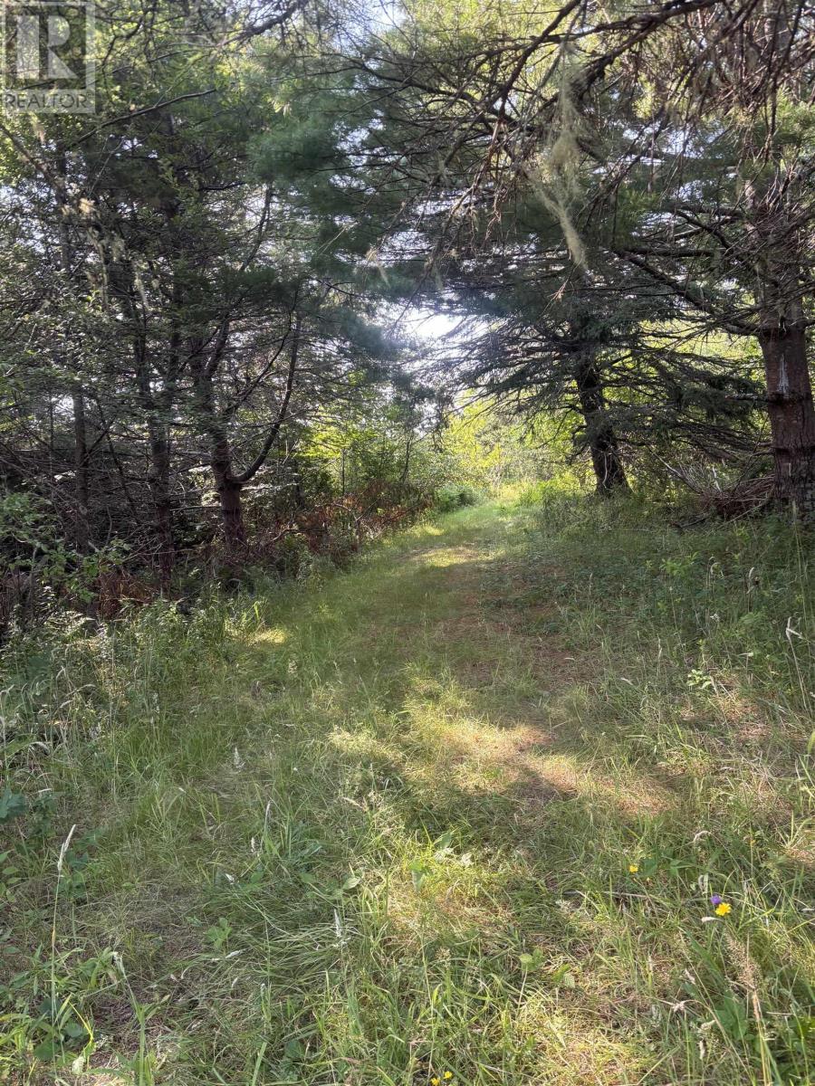 Property 13 of 13 of 52 New Zealand Road