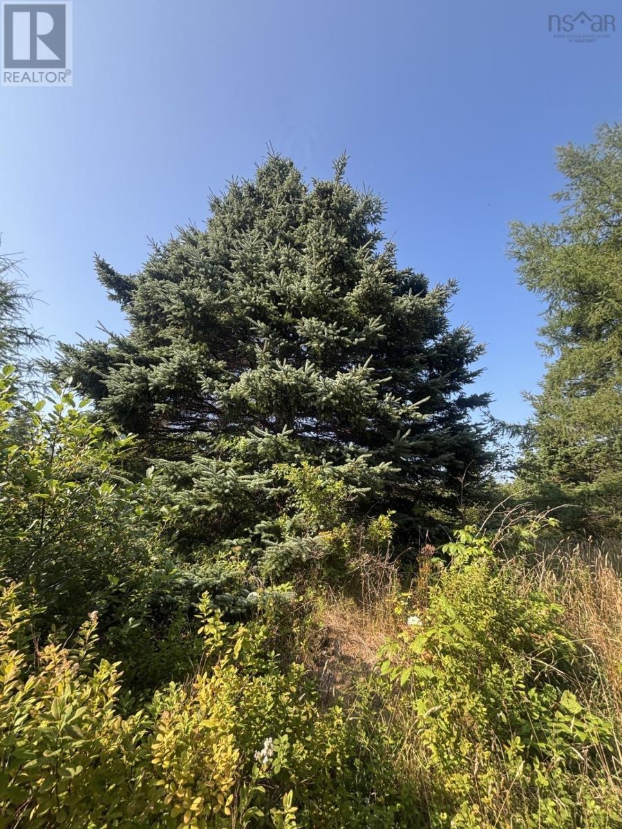 Property 11 of 13 of 52 New Zealand Road