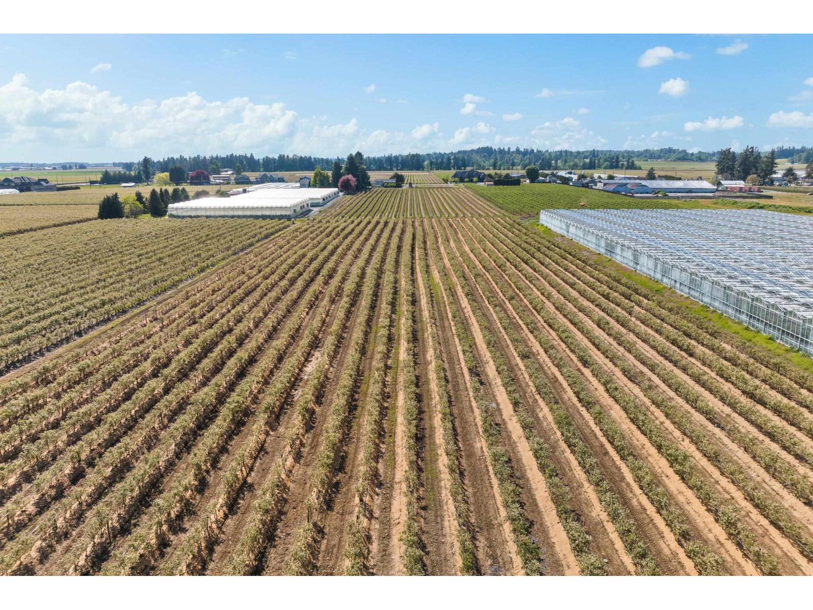 171 DEFEHR ROAD, Abbotsford