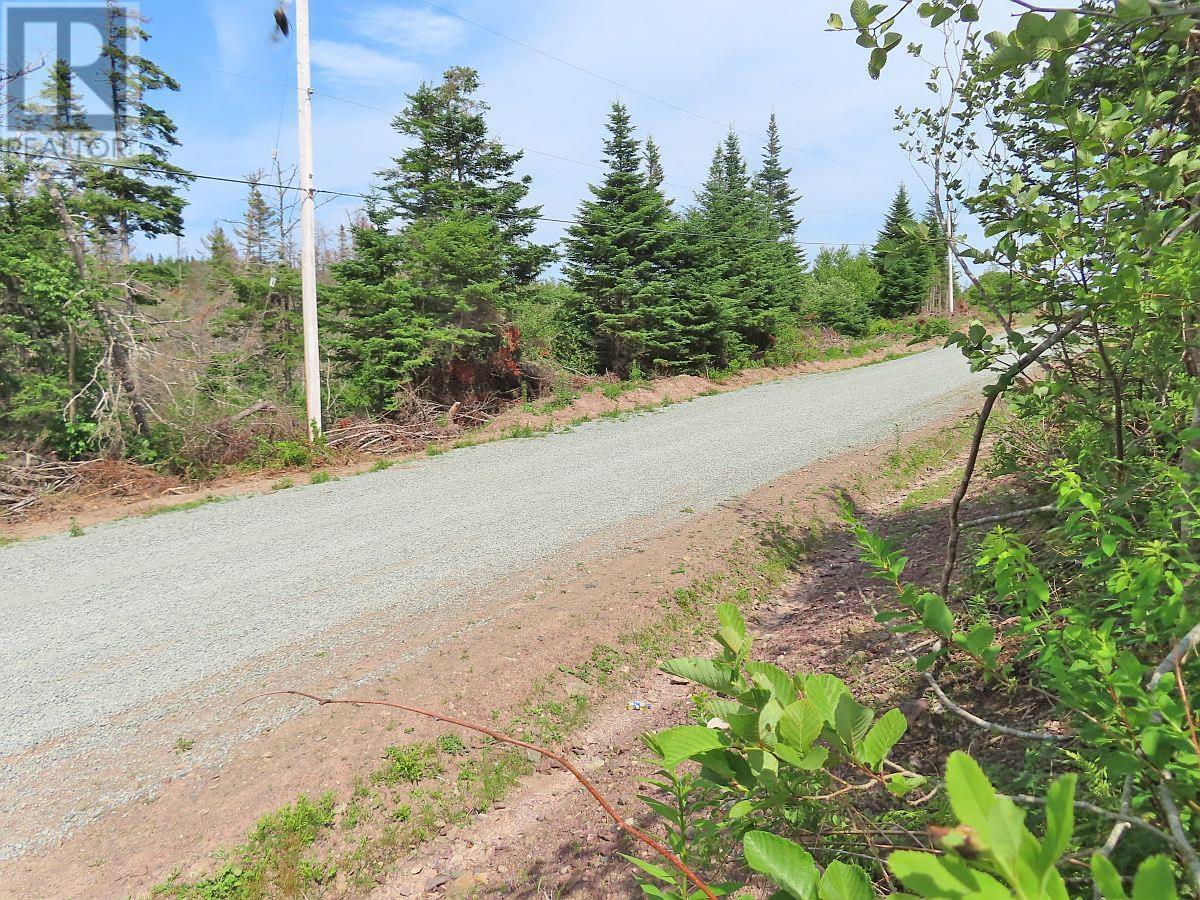Property 39 of 43 of Lot 3 Rear Big Cove Road