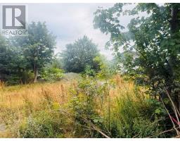 1253 Main Road thumbnail 3