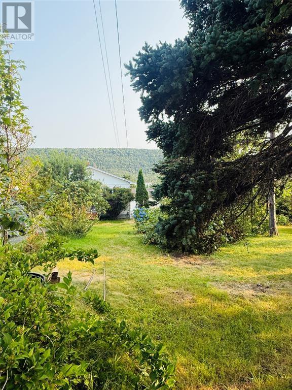 1135 Main Road - 19