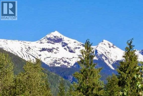 4955 CAMP CREEK Road Unit# 5, Revelstoke