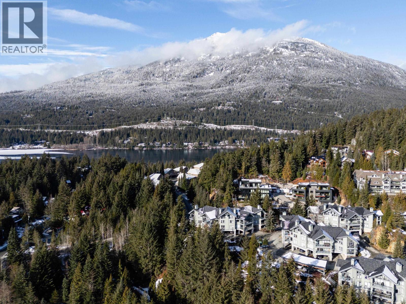 101 3201 BLUEBERRY DRIVE, Whistler