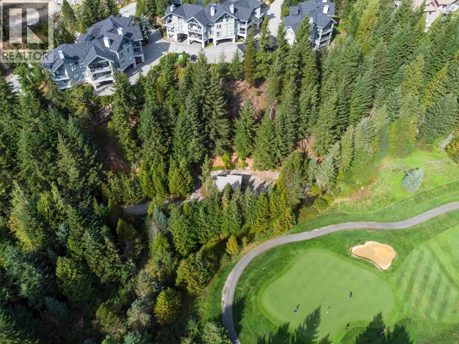 101 3201 BLUEBERRY DRIVE, Whistler