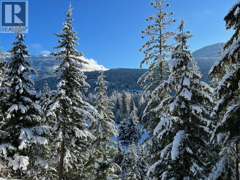 101 3201 BLUEBERRY DRIVE, Whistler