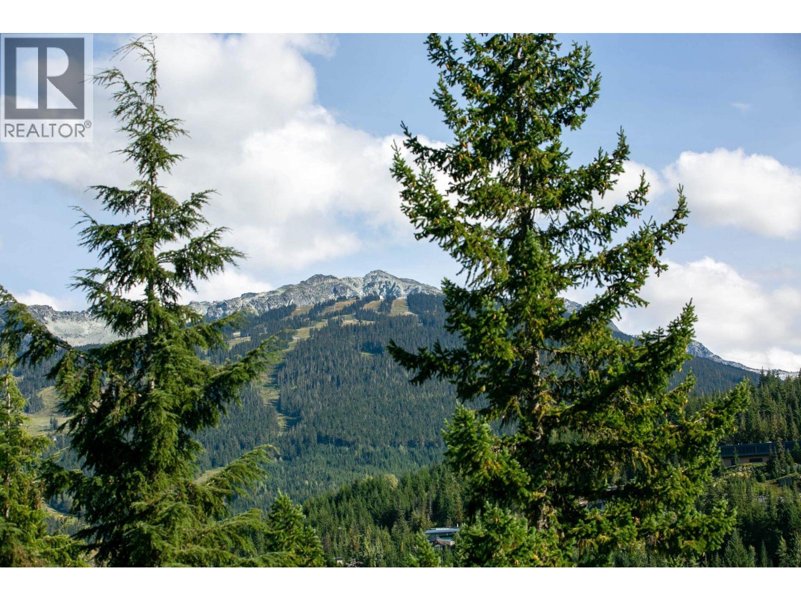 101 3201 BLUEBERRY DRIVE, Whistler