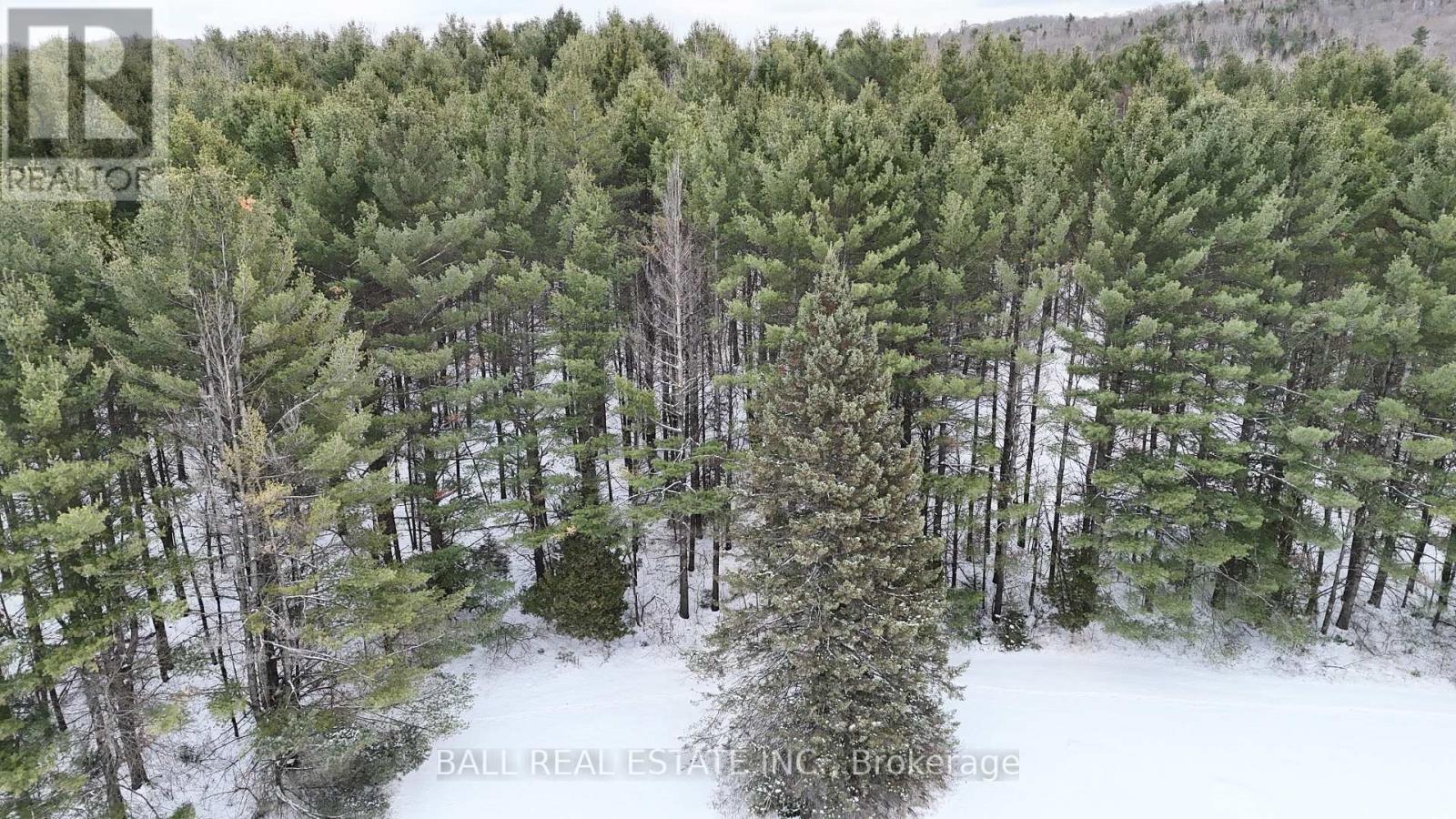 0 HIGHWAY 62 S - Photo 2 of 4, Bancroft (Dungannon Ward), Ontario