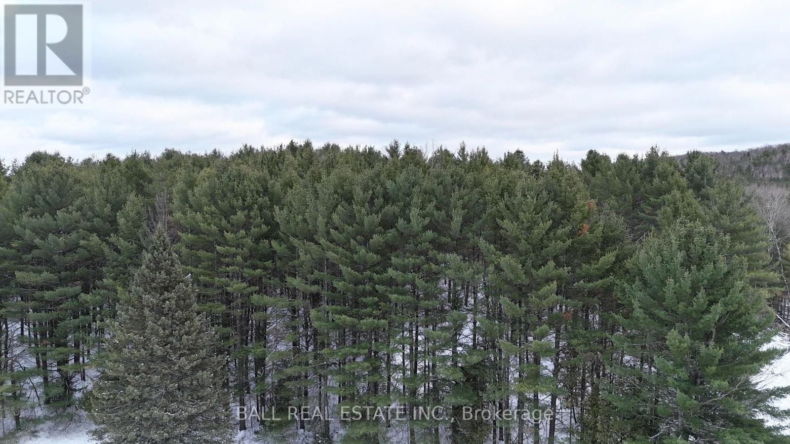 0 HIGHWAY 62 S - Photo 4 of 4, Bancroft (Dungannon Ward), Ontario