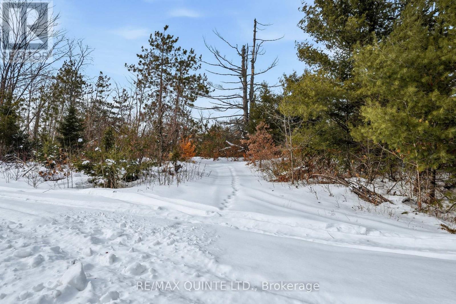0 POTTER SETTLEMENT ROAD - Photo 4 of 19, Tweed (Hungerford (Twp)), Ontario