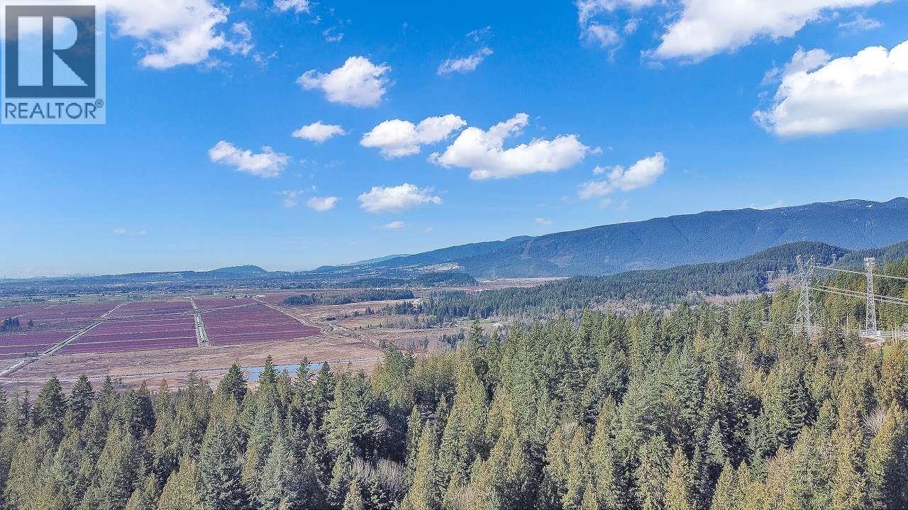 23287 141 AVENUE, Maple Ridge
