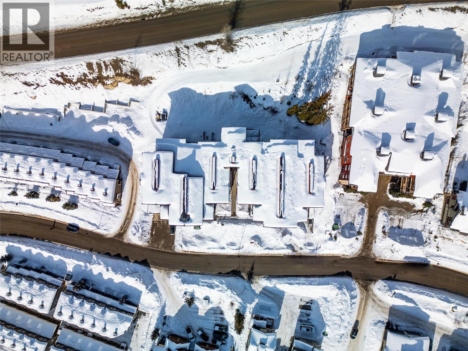 101 5030 Snowbird Way, Big White