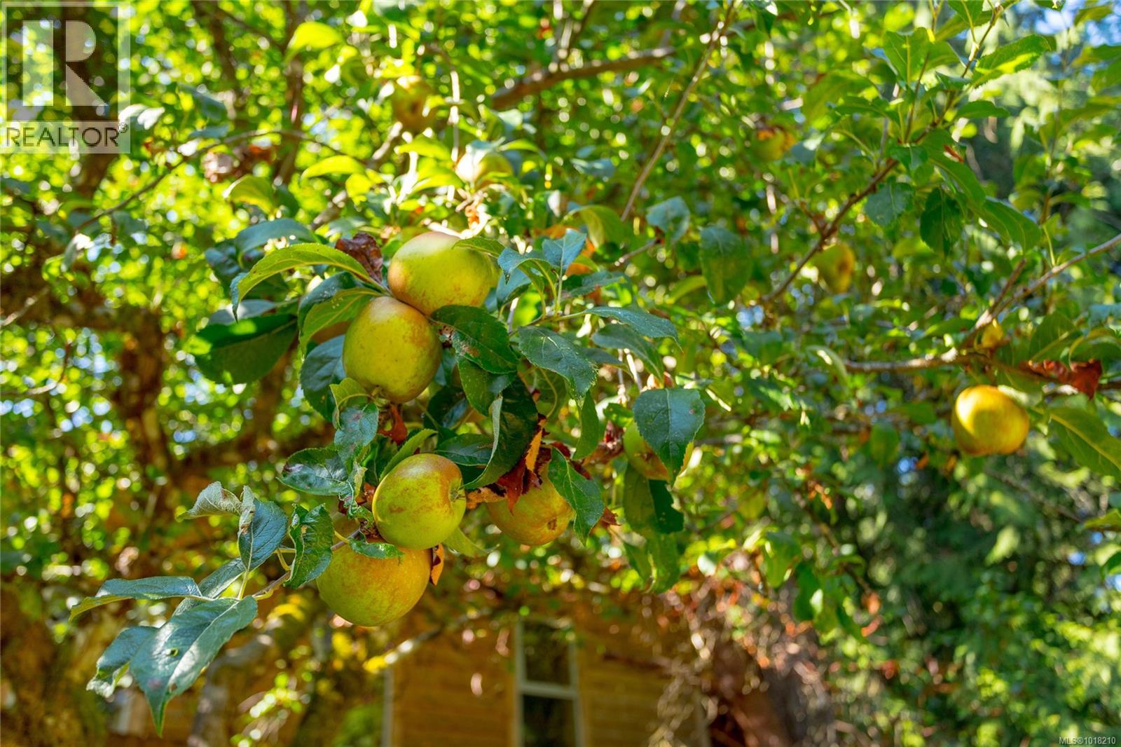 1215 Braithwaite Dr, Cobble Hill