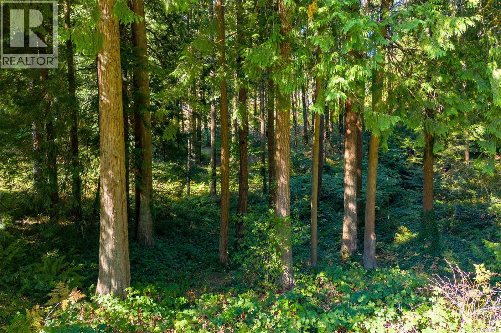 1215 Braithwaite Dr, Cobble Hill