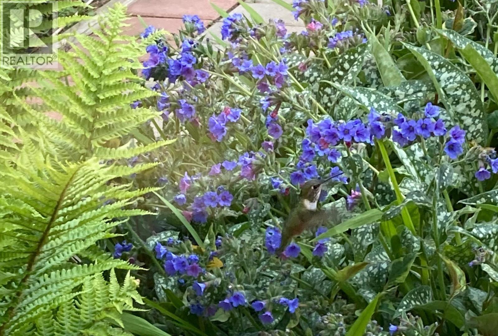 31 12331 PHOENIX DRIVE, Richmond