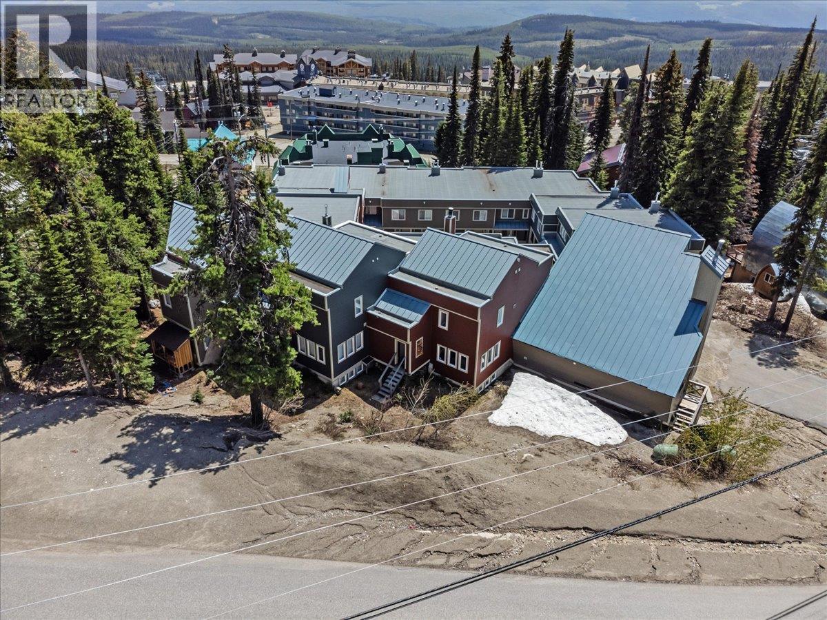 #12 7475 Porcupine Road - 39