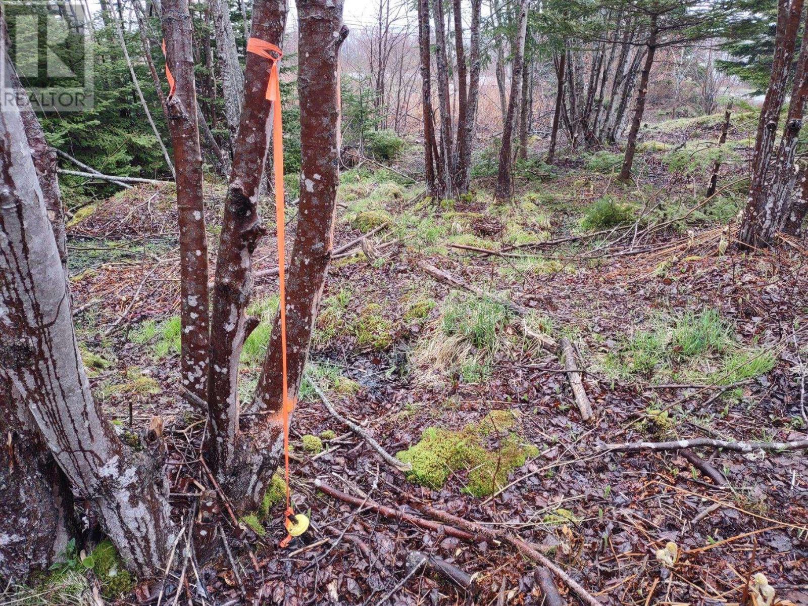 Property 16 of 17 of 1218 St Margarets Bay Road