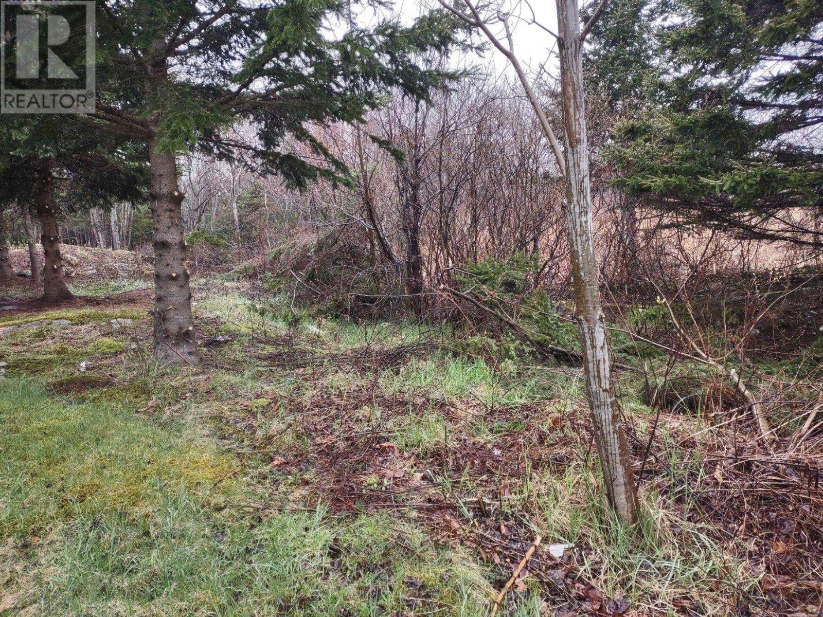 Property 12 of 17 of 1218 St Margarets Bay Road