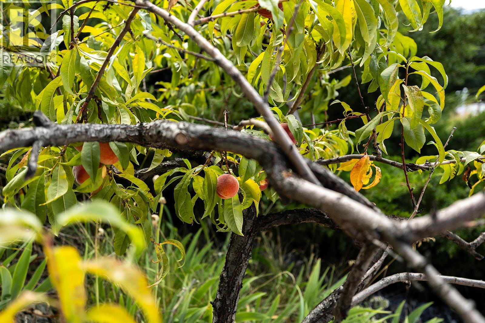 1337 Bentien Road, Kelowna