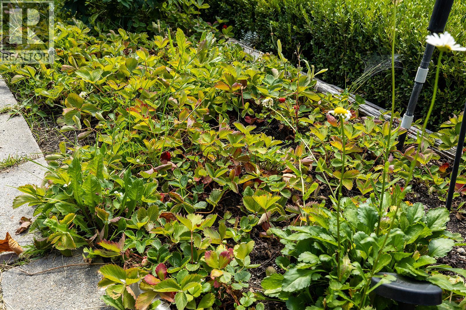 1337 Bentien Road, Kelowna