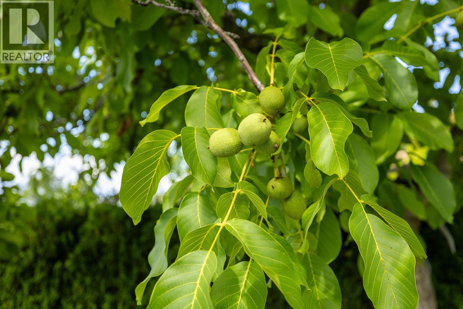 1337 Bentien Road, Kelowna